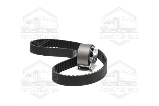 Комплект ременя ГРМ DACIA LOGAN 06-, RENAULT CLIO 01- (вир-во Jakoparts)