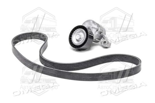 Комплект ременів поліклинових (Вир-во INA)