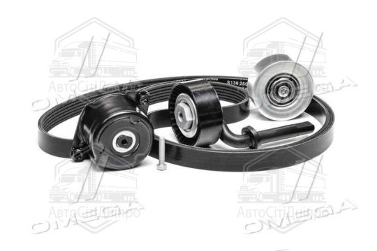 Комплект поліклинових ременів (Вир-во INA)