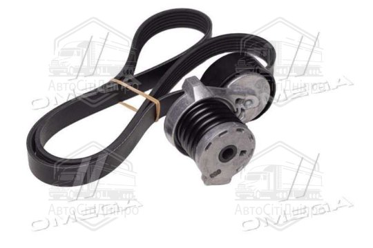 Комплект поліклинових ременів (Вир-во INA)