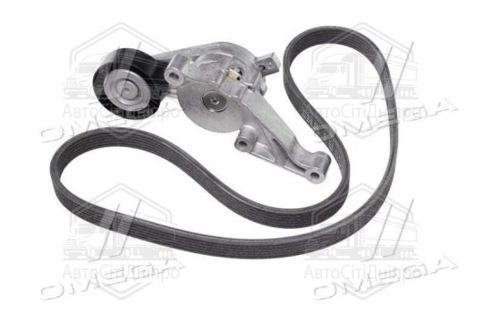 Комплект поліклинових ременів (Вир-во INA)