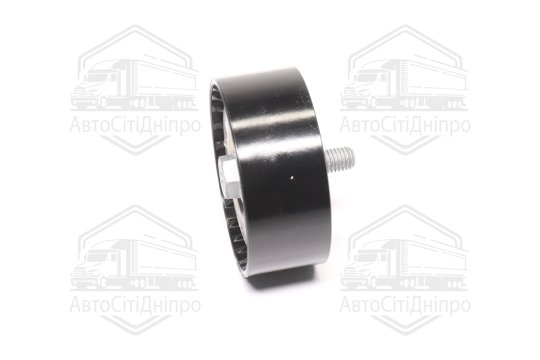 Ведучий ролик, полікліновий ремінь (Вир-во INA)