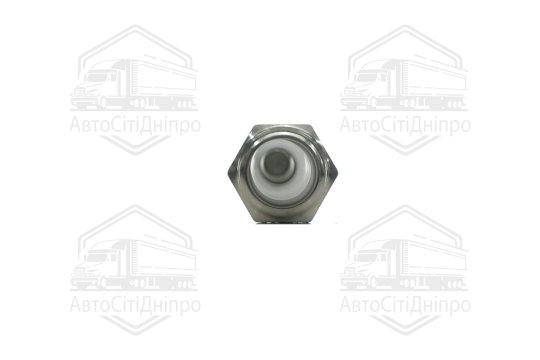 Свічка запалювання (платина) Hyundai H-1 01-/Santa Fe 00-/Sonata 99-/Kia Sorento 02- (вир-во Mobis)