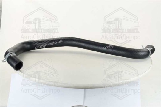 Патрубок радіатора верхній Hyundai Sonata 04- (вир-во Mobis)