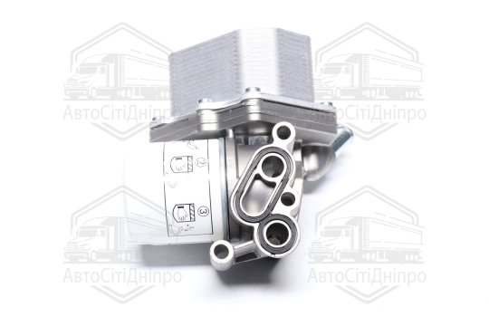 Радіатор масляний FORD Transit 2.2D 04/2006> (вир-во NRF)