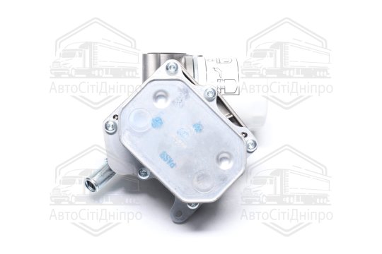 Радіатор масляний FORD Transit 2.2D 04/2006> (вир-во NRF)