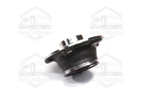 Маточина колеса AUDI A3, TT, SEAT TOLEDO III, VW PASSAT 03 - задн. міст (XTG.B45290.R04)(Вир-во SNR)