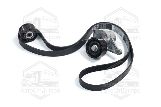 Ремінь полікліновий з роликами (Вир-во RENAULT)