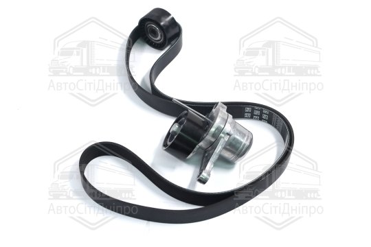 Ремінь полікліновий з роликами (Вир-во RENAULT)