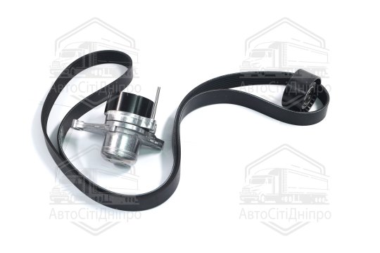 Ремінь полікліновий з роликами (Вир-во RENAULT)