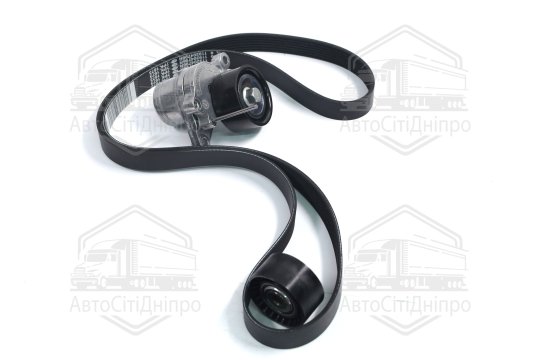 Ремінь полікліновий з роликами (Вир-во RENAULT)