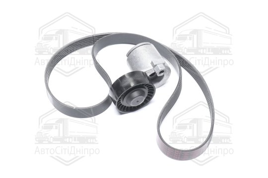 Ремінь полікліновий, комплект (Вир-во RENAULT)