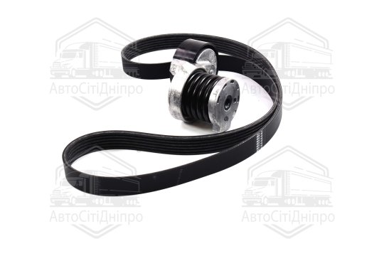 Ремінь полікліновий, комплект (Вир-во RENAULT)