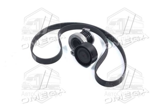 Поликлиновой ремінний комплект (Вир-во RENAULT)