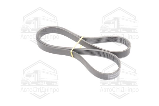 приводний пас