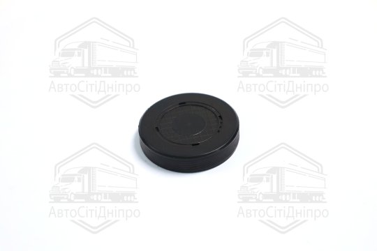 Заглушка ГБЦ F4R F4P F5R K4M K4J K7M K7J (Вир-во RENAULT)