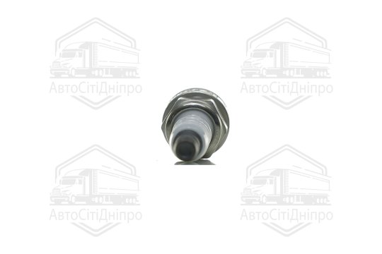 Свічка запалювання (Вир-во RENAULT)