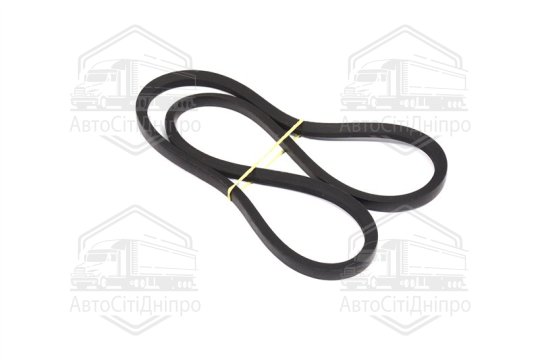 Ремінь 11х10х1250 МТЗ 80-892 (двигун Д-240-245) ПРЕМІУМ (RIDER)