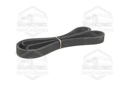Поліклиновий ремінь (Вир-во SKF)