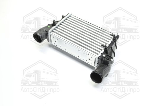Інтеркулер AUDI A4,A6 VW PASSAT 96-00 (TEMPEST)