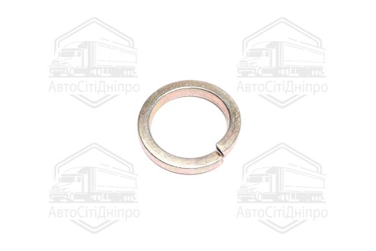 Шайба пружинна реактивного пальця КРАЗ 33,5 (гровер)