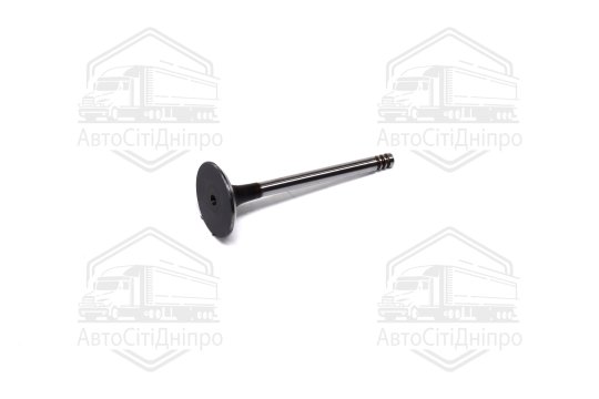 Клапан впускний VAG 1,9D/TD 96-36х7х95.6 (вир-во AE)