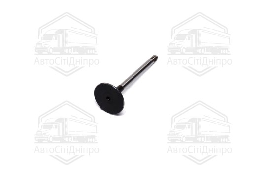 Клапан впускний VAG 1,9D/TD 96-36х7х95.6 (вир-во AE)