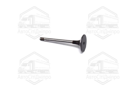 Клапан впускний VAG 1,9D/TD 96-36х7х95.6 (вир-во AE)