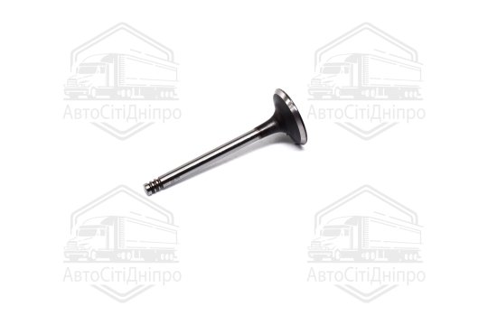 Клапан впускний VAG 1,9D/TD 96-36х7х95.6 (вир-во AE)
