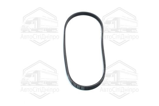 Ремінь полікліновий (Вир-во ContiTech)