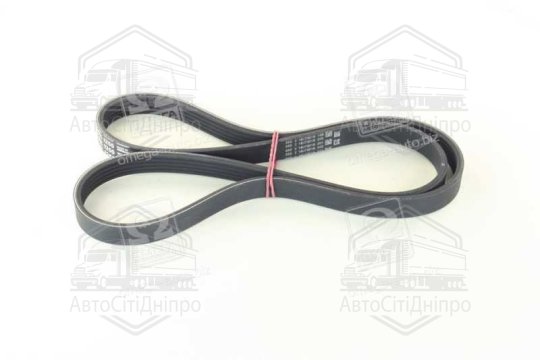 Ремінь полікліновий (Вир-во ContiTech)