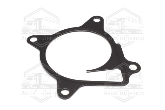 Прокладка водяний насос NISSAN 2,5 16V QR25DE (вир-во Elring)