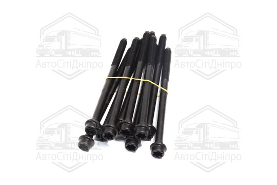 Комплект болтів головки цилідра FIAT/OPEL 1.6 D Multijet 10- (вир-во Elring)