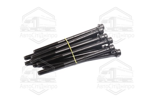 Комплект болтів головки цилідра FIAT/OPEL 1.6 D Multijet 10- (вир-во Elring)