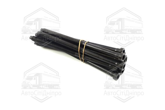Комплект болтів головки блоку циліндрів VAG 2,0TDI M12x1,75x209 15- (вир-во Elring)