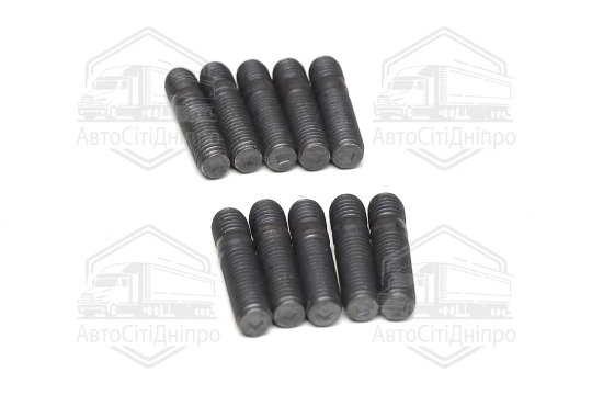 Шпілька, компл. 10 шт. M8x1,25x10/M8x1,25x25 мм (вир-во Fischer)