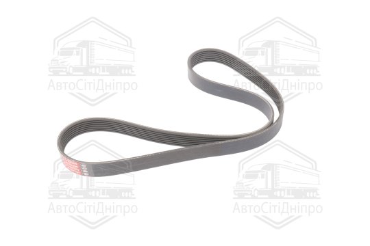 Ремінь поліклін. 7PK1113 (Вир-во Gates)