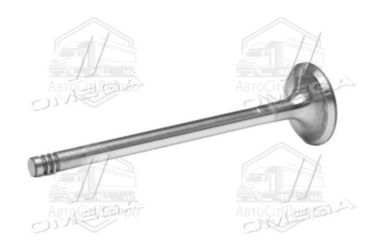 Клапан впускний VAG A6 2.5 V6 24V 27x6x100.5 (вир-во GUNES)