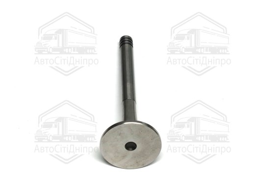 Клапан випускний VAG 1,6 D 31.2x8x95.55 (вир-во GUNES)