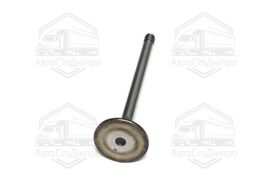 Клапан впускний BMW M50B20 29.9x7x107.7 (вир-во GUNES)