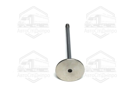 Клапан впускний BMW M51 D25 36x6x103.7 (вир-во GUNES)