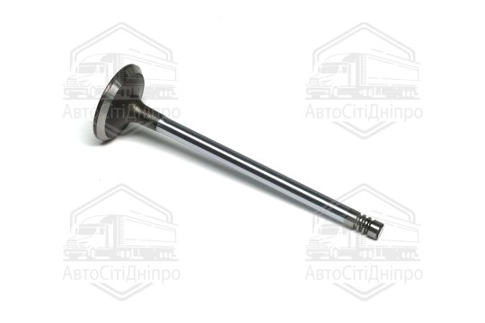 Клапан впускний PSA 2.0 HD DW10ATED4 29.9x6x106.2 (вир-во GUNES)