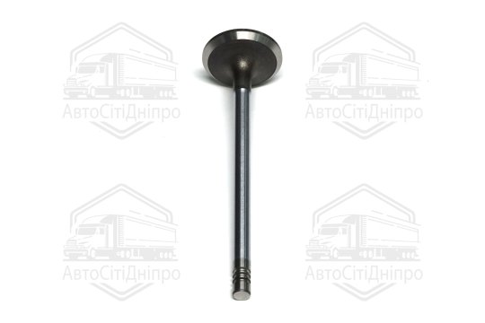 Клапан впускний PSA 2.0 HD DW10ATED4 29.9x6x106.2 (вир-во GUNES)