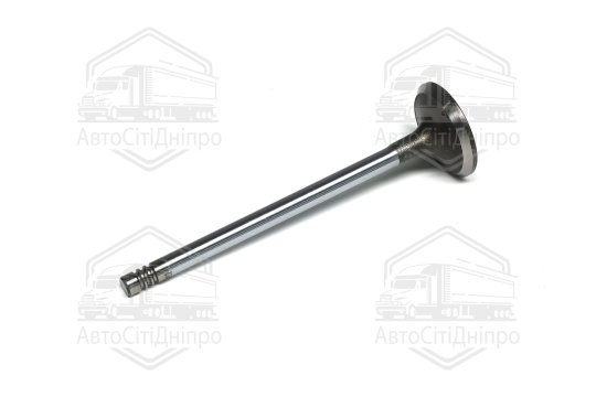 Клапан впускний PSA 2.0 HD DW10ATED4 29.9x6x106.2 (вир-во GUNES)