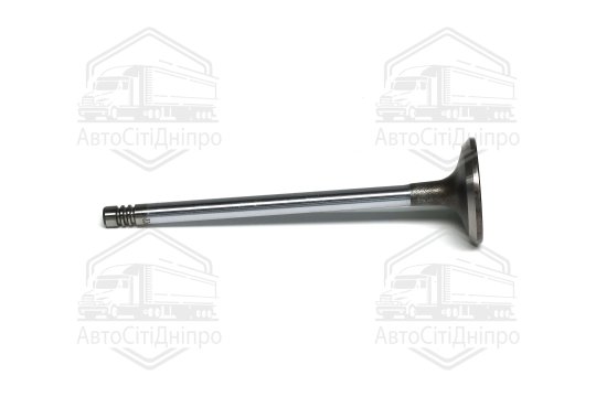 Клапан впускний PSA 2.0 HD DW10ATED4 29.9x6x106.2 (вир-во GUNES)
