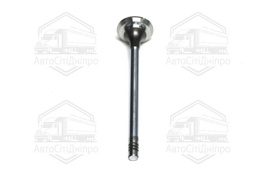 Клапан випускний PSA 2.0 HD DW10ATED4 25x6x106.1 (вир-во GUNES)