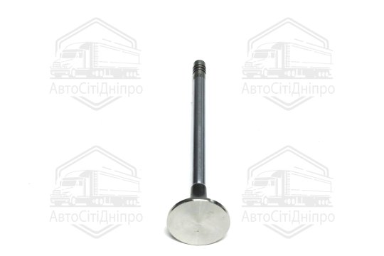 Клапан випускний PSA 2.0 HD DW10ATED4 25x6x106.1 (вир-во GUNES)