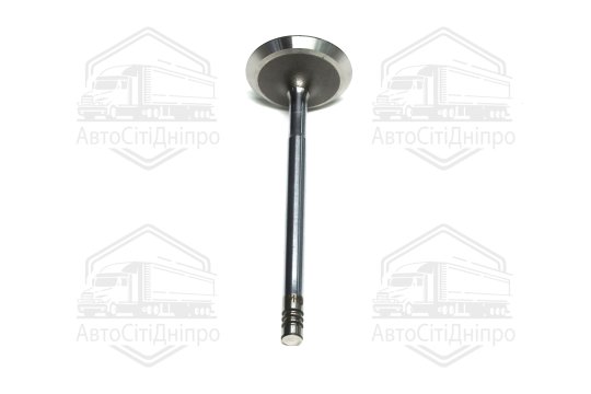 Клапан впускний FORD 1.8i 16V Zetec 33x6x98 (вир-во GUNES)