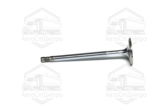Клапан впускний FORD 1.6i 16V Zetec 30x6x99 (вир-во GUNES)