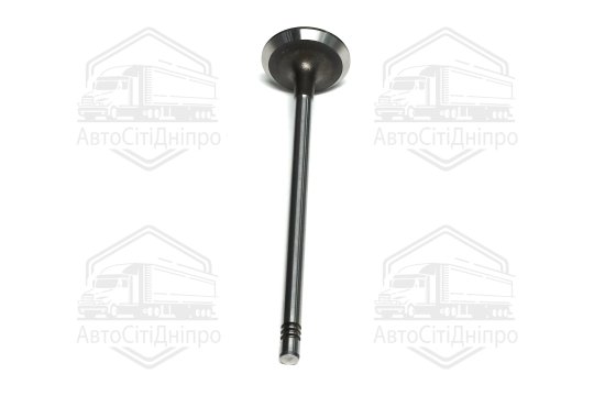 Клапан впускний RENAULT 2.2 dCi G9T 30.7x6x123.1 (вир-во GUNES)